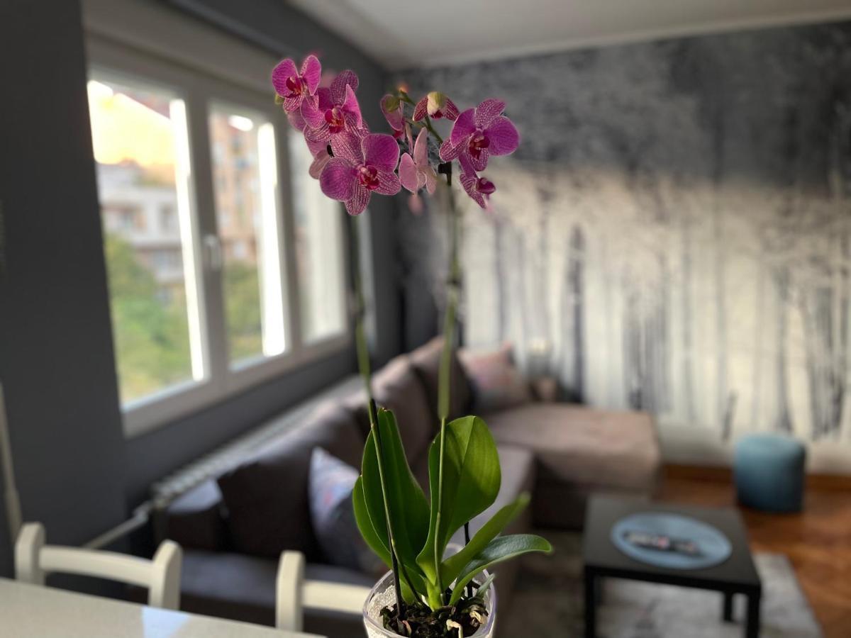 Apartman Avenia Novi Sad Buitenkant foto
