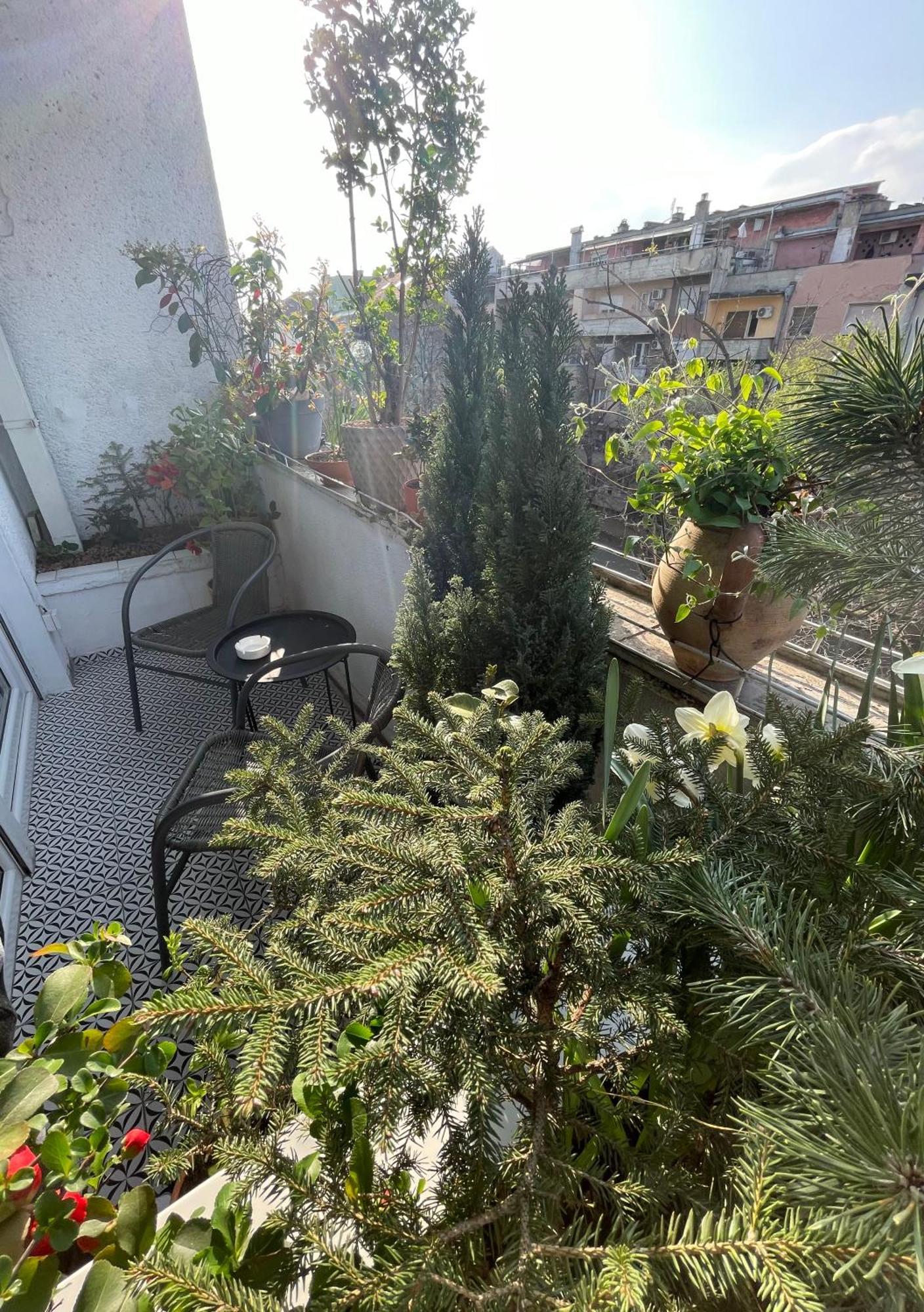 Apartman Avenia Novi Sad Buitenkant foto