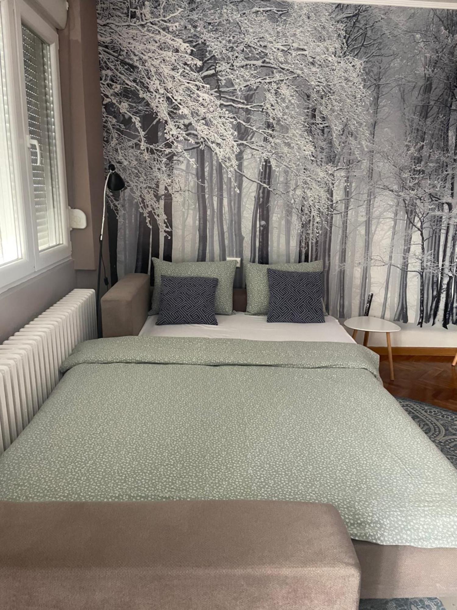 Apartman Avenia Novi Sad Buitenkant foto