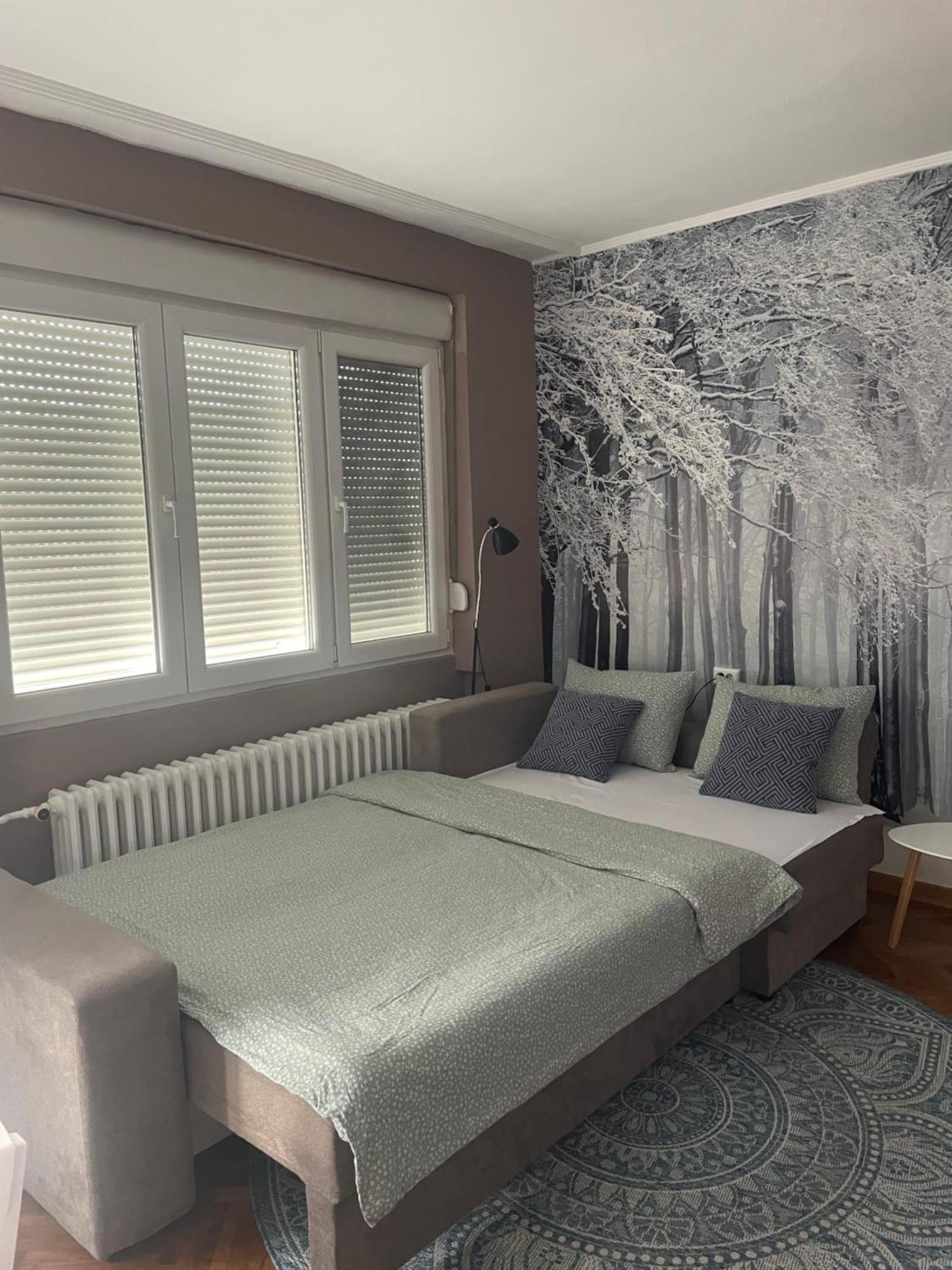 Apartman Avenia Novi Sad Buitenkant foto